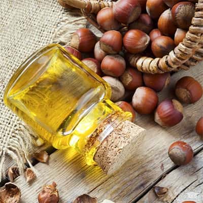 فروش عمده روغن فندق با بهترین قیمت