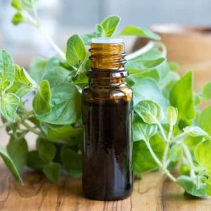 فروش عمده طعم دهنده پونه با بهترین قیمت